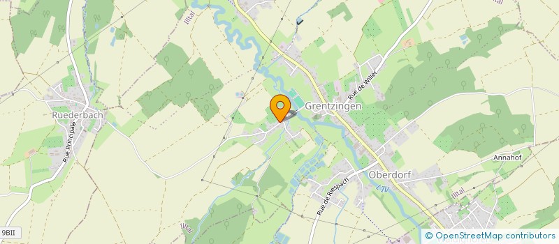 localisation de l'entreprise MADAME MONIQUE LITZLER  ILLTAL