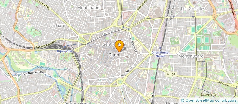 localisation de l'entreprise MADAME MONIQUE MEYER à DIJON