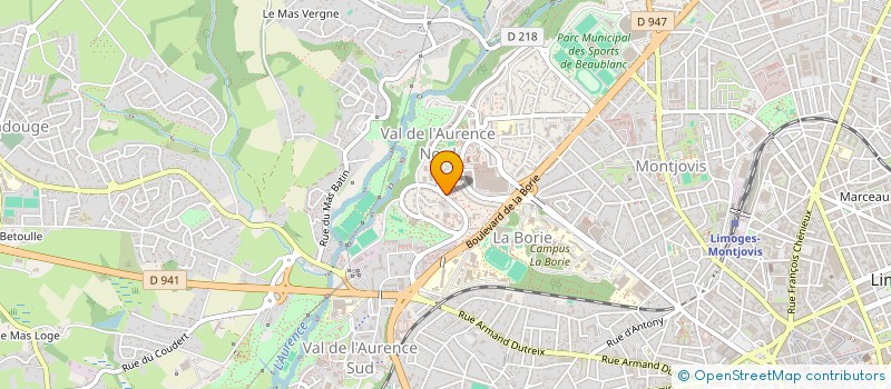 localisation de l'entreprise MADAME MONIQUE OYOAM à LIMOGES