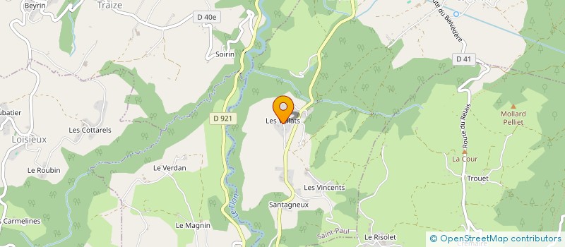 localisation de l'entreprise MADAME MONIQUE PALLOT  SAINT-PAUL-SUR-YENNE