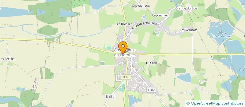 localisation de l'entreprise MADAME MONIQUE PERNET  AMBERIEUX-EN-DOMBES