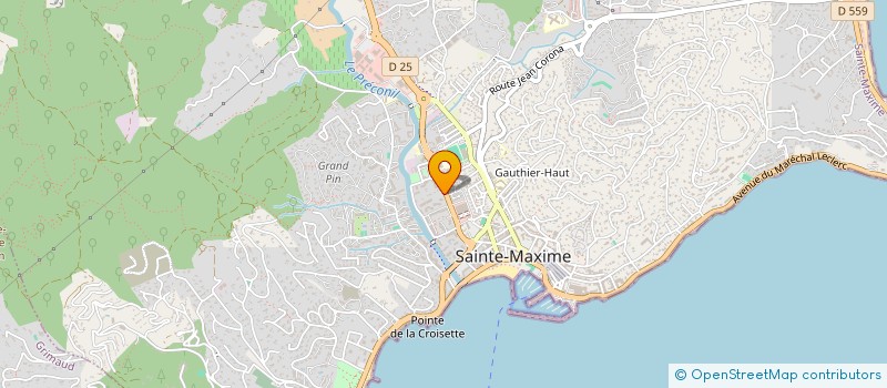 localisation de l'entreprise MADAME MONIQUE REY à SAINTE-MAXIME