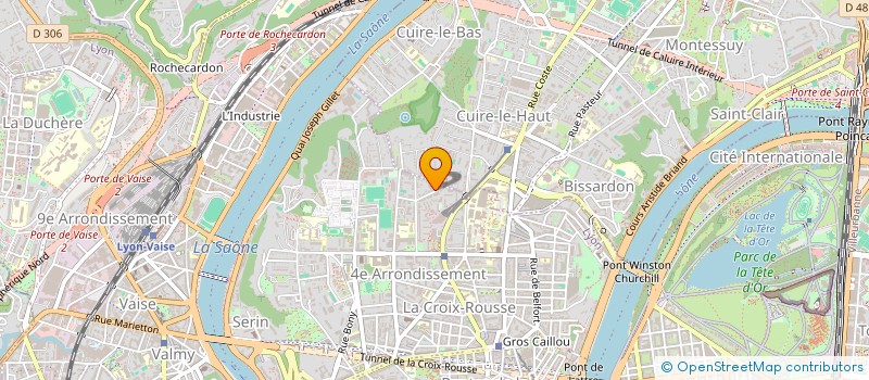 localisation de l'entreprise MADAME MONIQUE RIGAUD à LYON