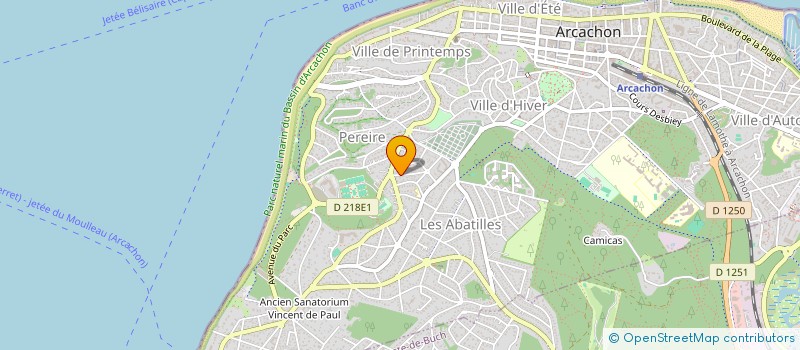 localisation de l'entreprise MADAME MONIQUE ROBIN  ARCACHON