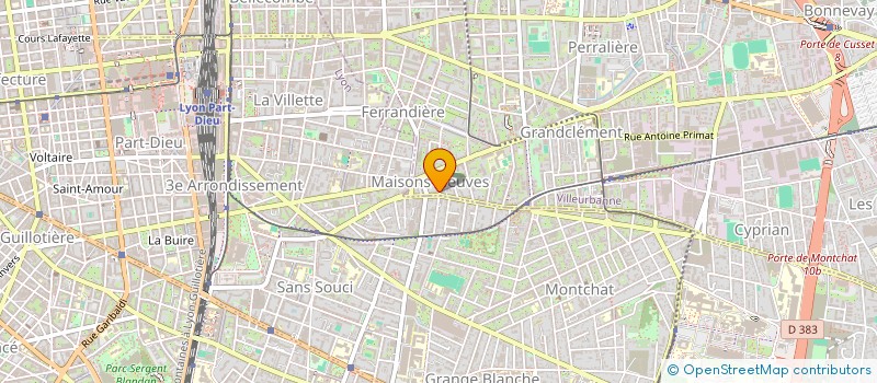 localisation de l'entreprise MADAME MONIQUE ROUAS  VILLEURBANNE