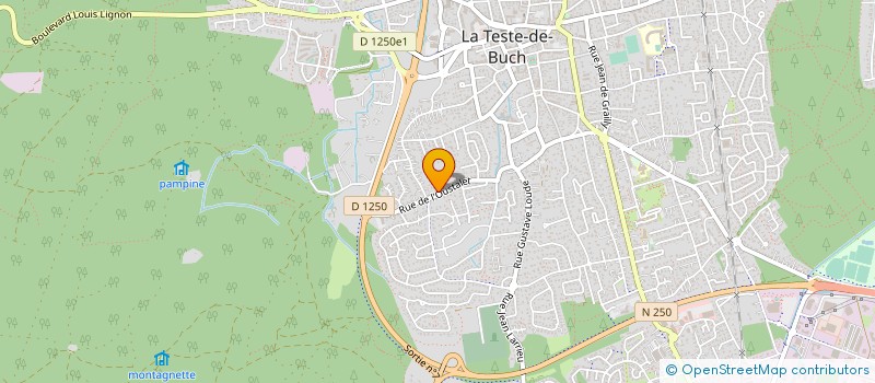 localisation de l'entreprise MADAME MONIQUE ROUGEBIEF à LA TESTE-DE-BUCH