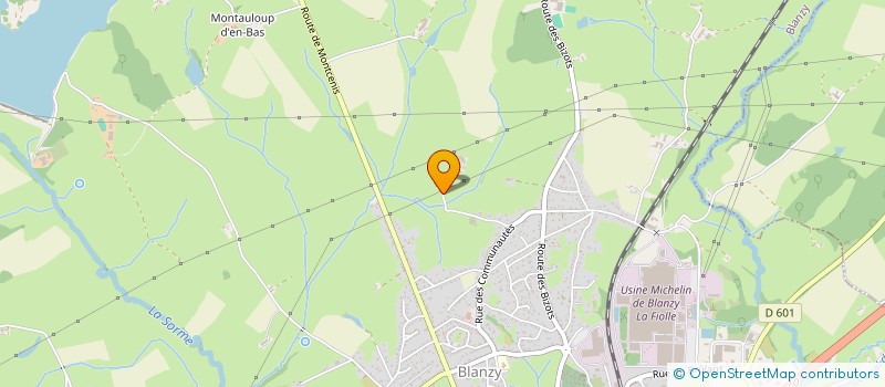 localisation de l'entreprise MADAME MONIQUE ROZIER  BLANZY