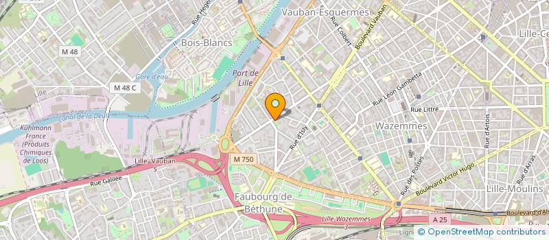 localisation de l'entreprise MADAME MONIQUE SPECK à LILLE