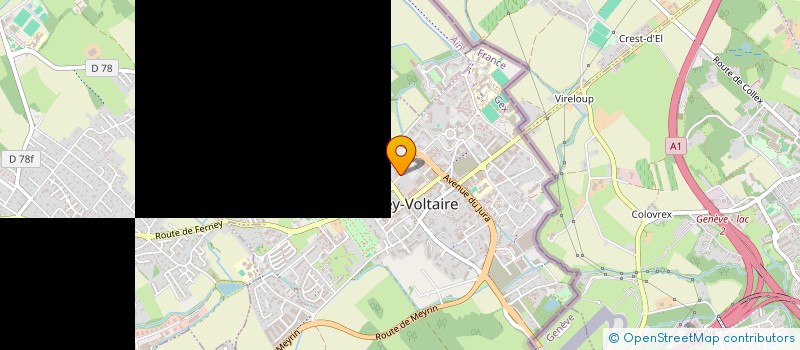 localisation de l'entreprise MADAME MONIQUE THOMANN à FERNEY-VOLTAIRE