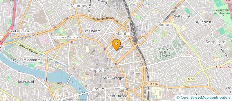 localisation de l'entreprise MADAME MONIQUE TURON à TOULOUSE