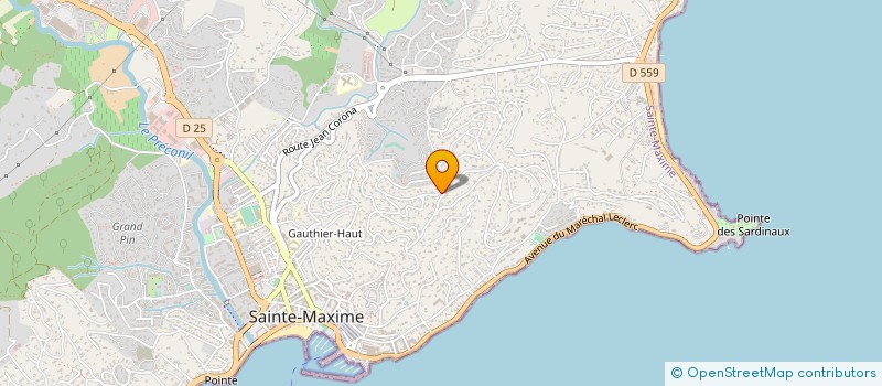 localisation de l'entreprise MADAME MONIQUE VIDAL à SAINTE-MAXIME