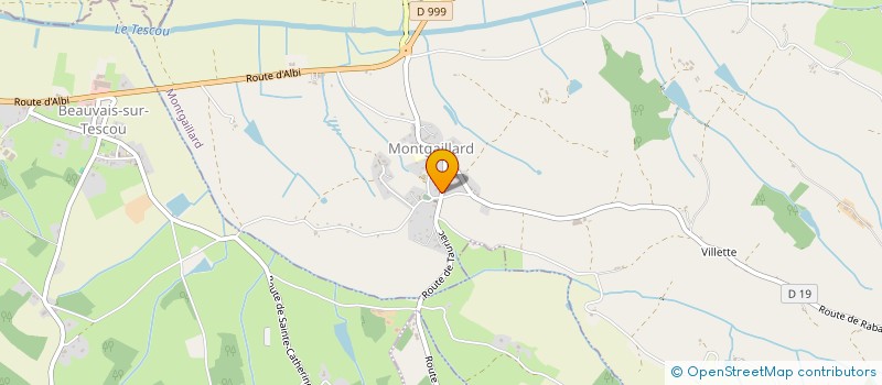 localisation de l'entreprise MADAME MONTAINE KOTH  MONTGAILLARD