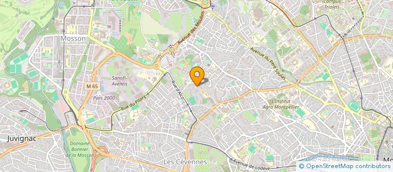 localisation de l'entreprise MADAME MORGANE AMEDURI  MONTPELLIER