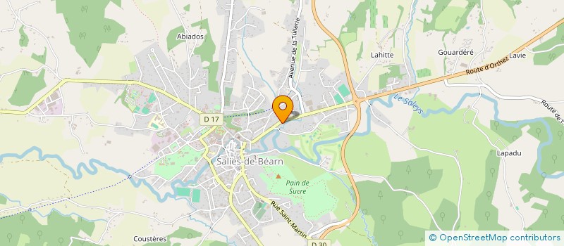 localisation de l'entreprise MADAME MORGANE BAYARD  SALIES-DE-BEARN