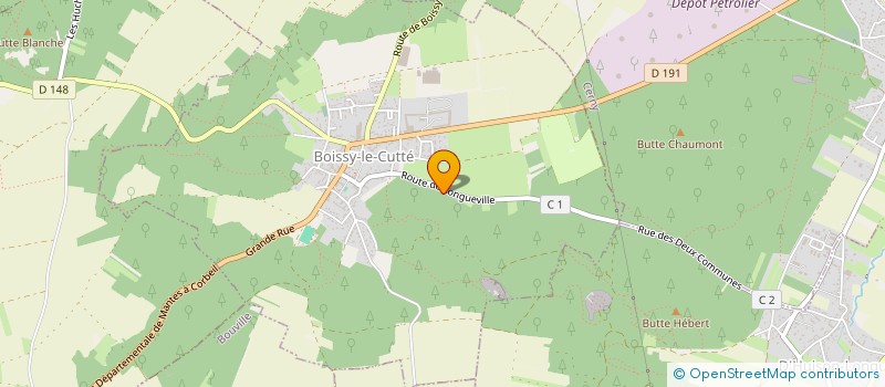 localisation de l'entreprise MADAME MORGANE BEDASNE  BOISSY-LE-CUTTE