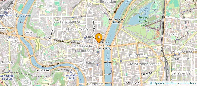 localisation de l'entreprise MADAME MORGANE BRAQUET à LYON