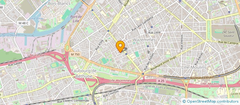 localisation de l'entreprise MADAME MORGANE COUSTENOBLE à LILLE