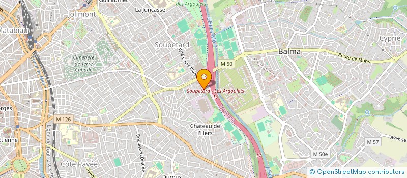 localisation de l'entreprise MADAME MORGANE CROIZEAU-MEYNADIER  TOULOUSE