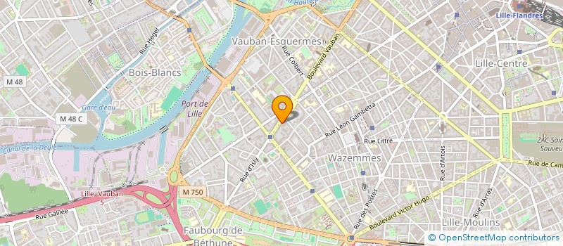 localisation de l'entreprise MADAME MORGANE EUVRARD à LILLE