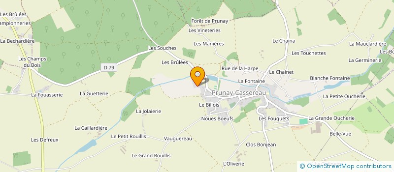 localisation de l'entreprise MADAME MORGANE FONDRONNIER  PRUNAY-CASSEREAU