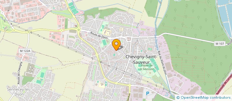 localisation de l'entreprise MADAME MORGANE KLIOUTCHKO KLUTCHANSKY à CHEVIGNY-SAINT-SAUVEUR
