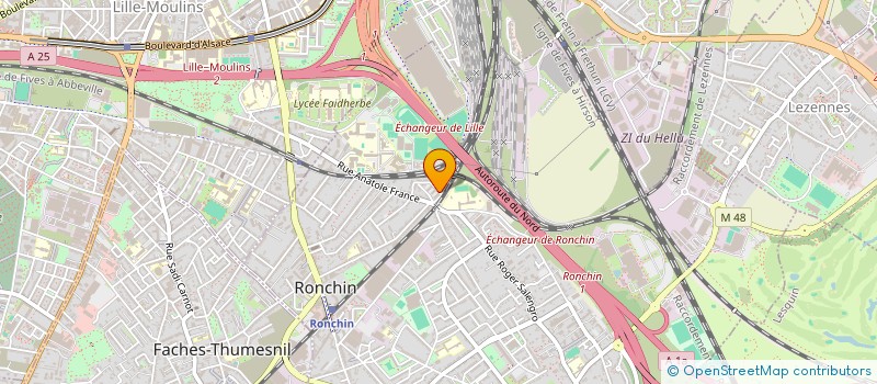 localisation de l'entreprise MADAME MORGANE LALOUX à RONCHIN