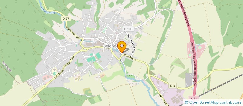 localisation de l'entreprise MADAME MORGANE MASSU  SELONGEY