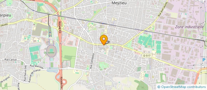 localisation de l'entreprise MADAME MORGANE MORAGUES à MEYZIEU