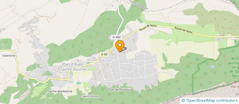 localisation de l'entreprise MADAME MORGANE SALIBA  PLAN-D'AUPS-SAINTE-BAUME