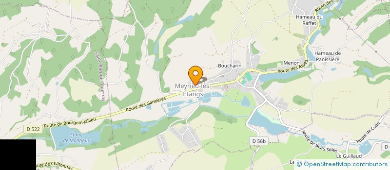 localisation de l'entreprise MADAME MORGANE STOECKLIN  MEYRIEU-LES-ETANGS