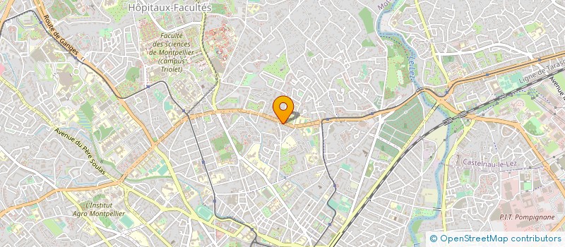 localisation de l'entreprise MADAME MORGANE THIRION à MONTPELLIER