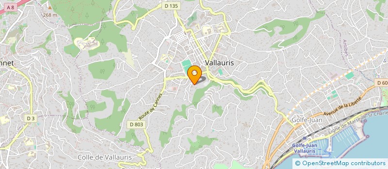 localisation de l'entreprise MADAME MORGANE YAHI à VALLAURIS