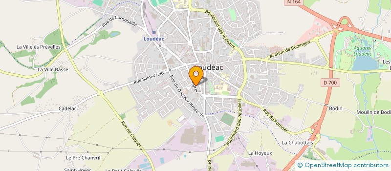 localisation de l'entreprise MADAME MUREEN TAMBE NEHESE à LOUDEAC