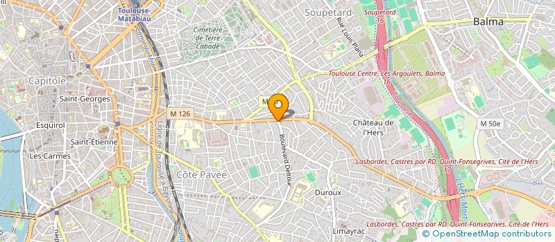 localisation de l'entreprise MADAME MURIEL ANGELI à TOULOUSE