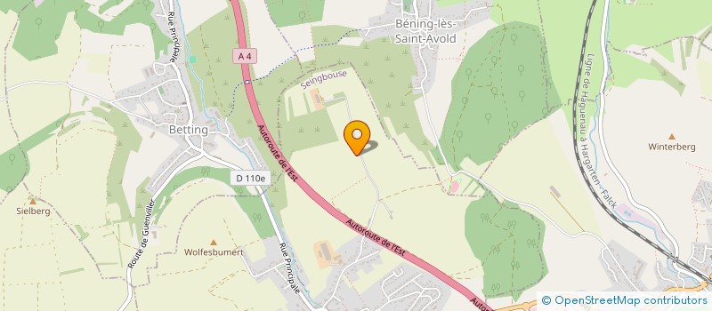 localisation de l'entreprise MADAME MURIEL BOUR  SEINGBOUSE