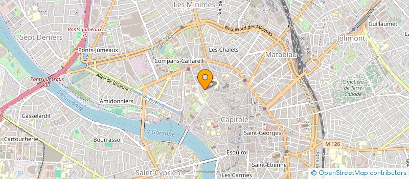 localisation de l'entreprise MADAME MURIEL CARRERE  TOULOUSE