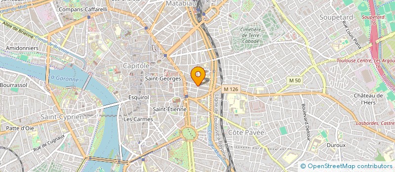 localisation de l'entreprise MADAME MURIEL DIFFIS  TOULOUSE