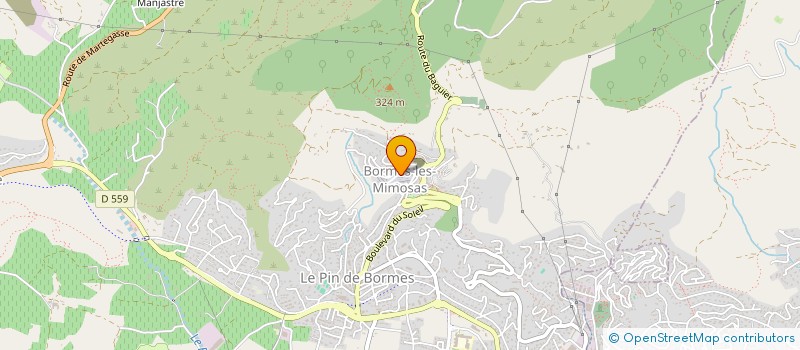 localisation de l'entreprise MADAME MURIEL FAVAREL à BORMES-LES-MIMOSAS