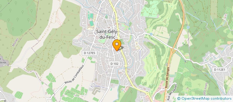 localisation de l'entreprise MADAME MURIEL GEERAERT  SAINT-GELY-DU-FESC