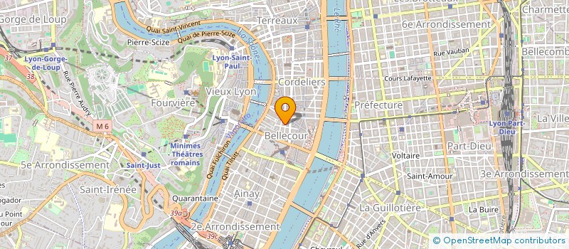 localisation de l'entreprise MADAME MURIEL LAFFONT  LYON