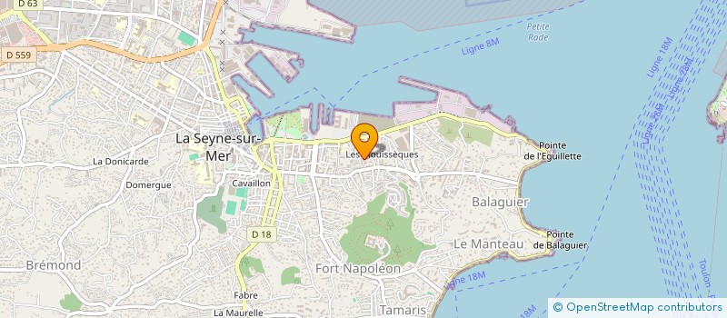 localisation de l'entreprise MADAME MURIEL MOLLO  LA SEYNE-SUR-MER