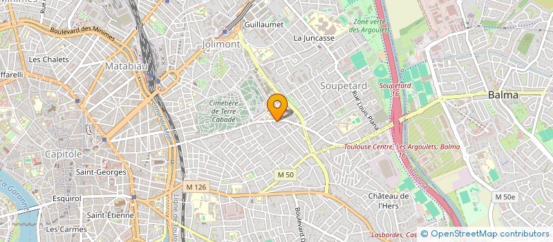localisation de l'entreprise MADAME MURIEL MONTURET  TOULOUSE