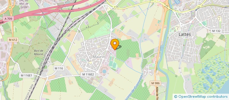 localisation de l'entreprise MADAME MURIEL PUISSANT à LATTES