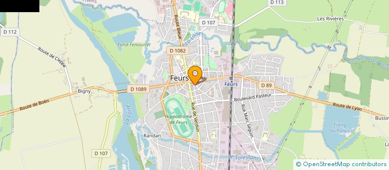 localisation de l'entreprise MADAME MURIEL ROATTINO  FEURS