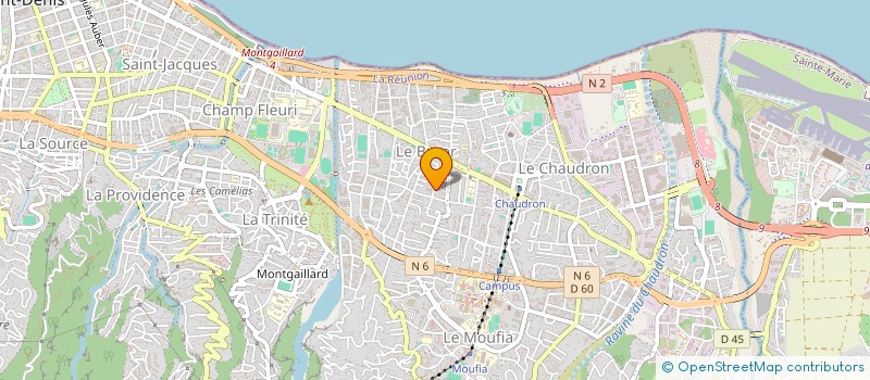 localisation de l'entreprise MADAME MURIELLE LAPINSONNIERE  SAINT-DENIS