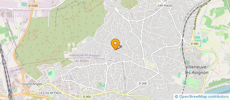 localisation de l'entreprise MADAME MURIELLE LINSOLAS  VILLENEUVE-LES-AVIGNON