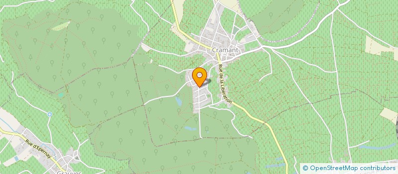 localisation de l'entreprise MADAME MURIELLE SELINGER à CRAMANT
