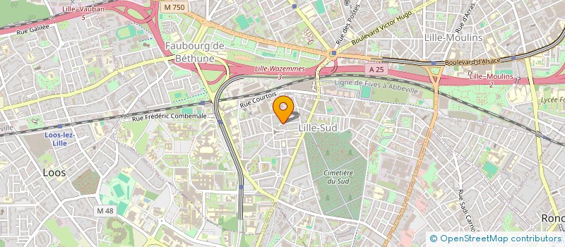 localisation de l'entreprise MADAME MUZHDA NOORIST à LILLE