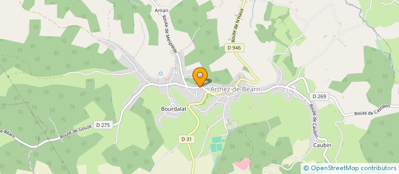 localisation de l'entreprise MADAME MYLENE BOURGUIGNON  ARTHEZ DE BEARN