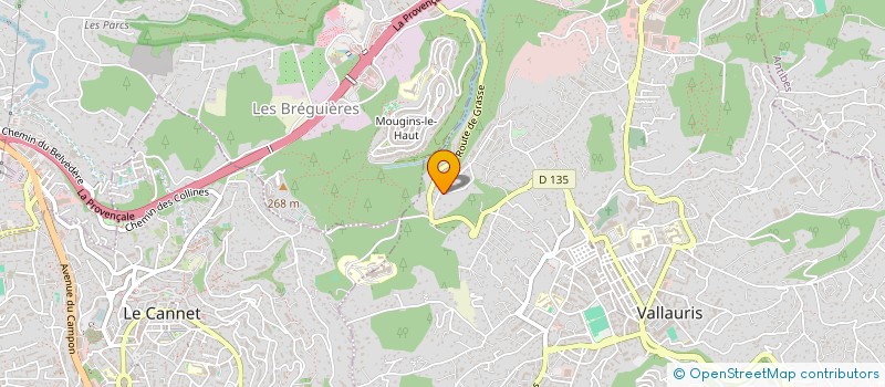 localisation de l'entreprise MADAME MYLENE LEMIERE  VALLAURIS